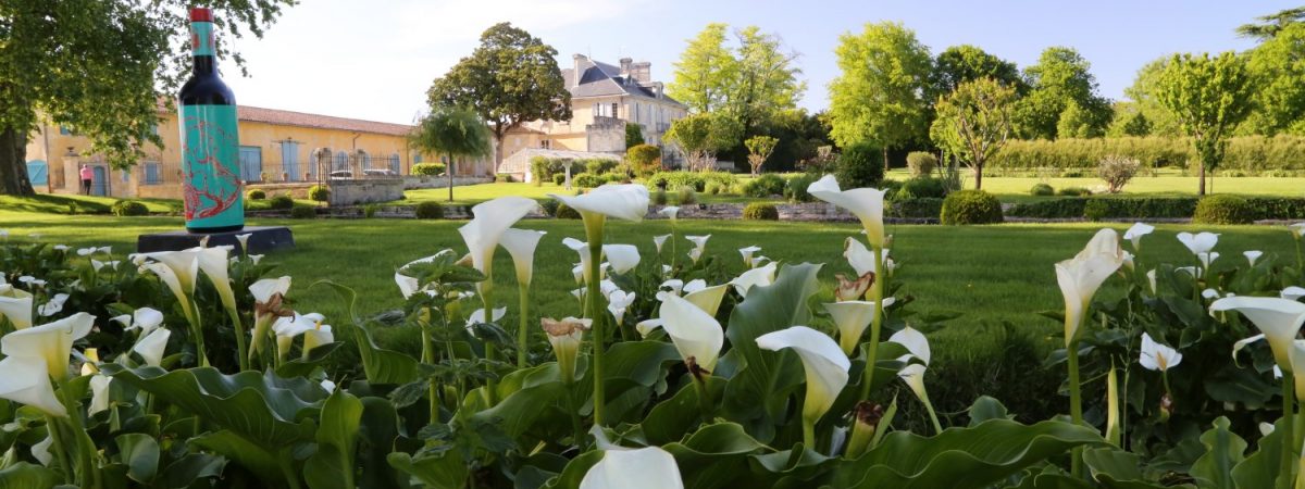 Cruising Bordeaux with Viking River Cruises