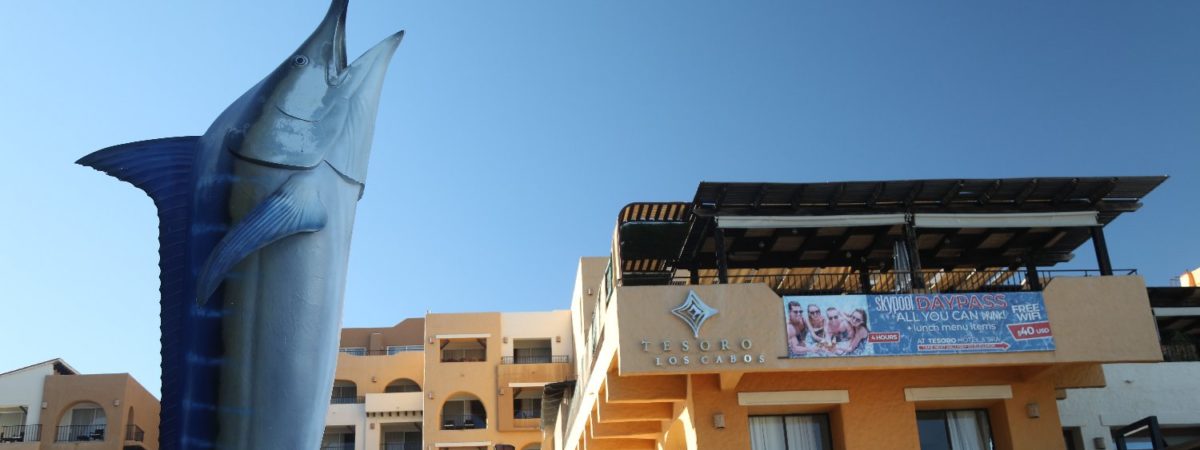 An Unexpected Night in Cabo San Lucas