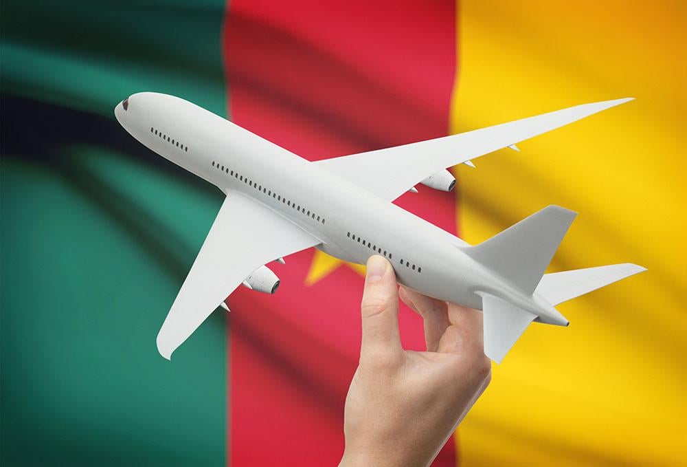 Cameroon flag aviation graphic