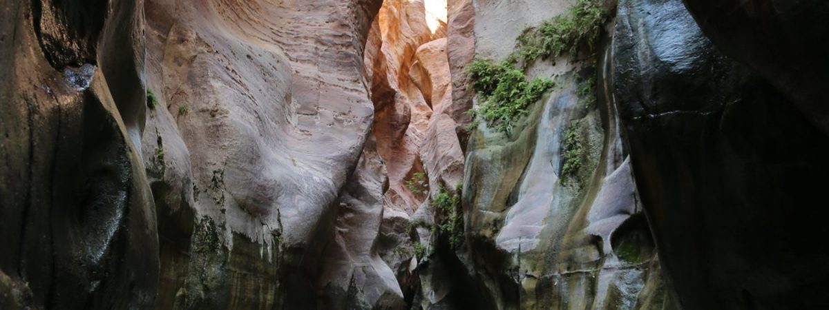 The Rift Valley Mountain Trek to Petra, Jordan