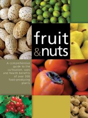 fruits-and-nuts